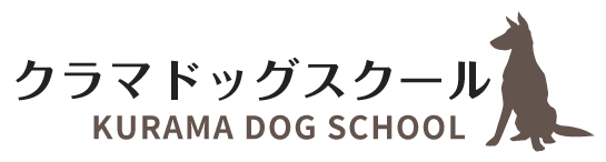 犬のしつけにおすすめの教室をお探しなら、宝塚市で成犬向けのトレーニングもできる当教室へ